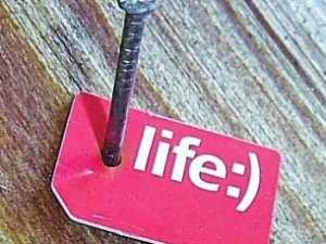 Life:) может остаться без лицензии?