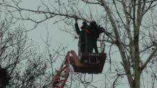 В Джанкое начали весеннюю обрезку деревьев