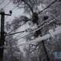 В Украине непогода обесточила 64 населённых пункта в шести областях