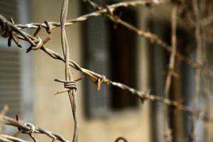 В Столице Крыма досрочно освободили почти четыреста заключенных