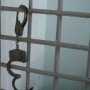 В Симферополе за год досрочно освободили почти 400 заключенных