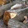 На здание детсада в Феодосии упали два дерева