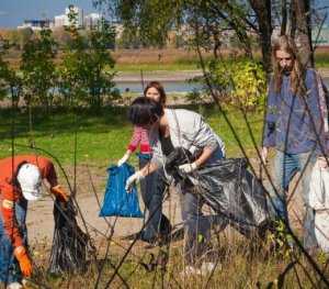 Уборку мусора в лесополосе в Керчи превратят в квест