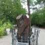 В Севастополе погибает дерево-памятник, пережившее Великую Отечественную