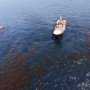 Странные пятна в море на ЮБК оставили кипарисы?
