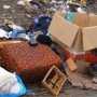 Столица Крыма ежемесячно тратит 400 тысяч гривен на мусор
