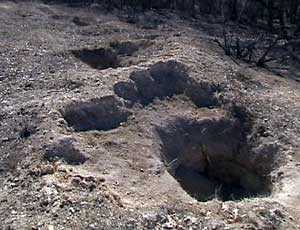 Главк крымской милиции просят создать спецподразделение по борьбе с «черными археологами»