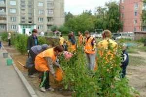 Бизнесменов Симферополя заставили озеленить центр города