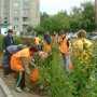 Бизнесменов Симферополя заставили озеленить центр города