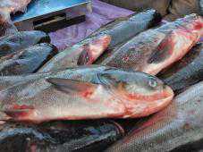 На стихийных рынках Джанкоя изъяли 70 кг рыбы