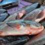 На стихийных рынках Джанкоя изъяли 70 кг рыбы