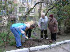 В Ялте на субботнике сажали деревья и розы