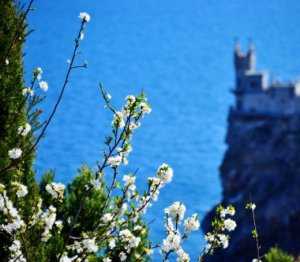 К приему туристов в майские праздники в Крыму приготовились 366 санаториев и отелей