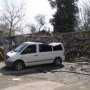В Столице Крыма упавшее дерево повредило автомобили и газопровод