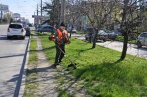 В Столице Крыма начался покос травы