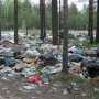 Прокуратура насчитала в Севастополе 2 тыс. стихийных свалок