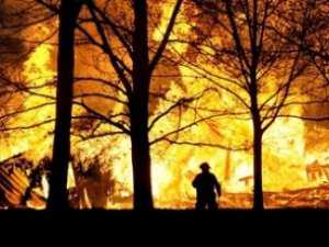 Высокая пожароопасность объявлена в Украине до мая