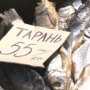 В Крыму утилизировали более пяти тонн рыбы