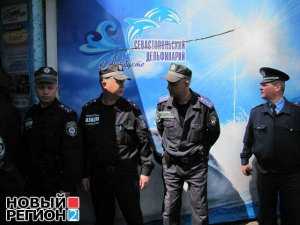 Животных из захваченного Севастопольского дельфинария передали на хранение одесской фирме