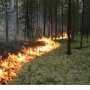 В Крыму уже готовятся к лесным пожарам