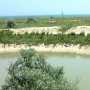 На берегу Сиваша нашли 250 га незаконно засеянной земли