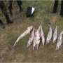 В Крыму браконьеры наловили краснокнижной рыбы на 800 тыс.