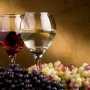 Академик Гринык предлагает актуализировать виноградарство в соответствии с развитием виноделия