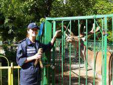 Крымские спасатели передали в зооуголок Симферополя раненого сокола