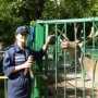 Крымские спасатели передали в зооуголок Симферополя раненого сокола
