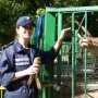 Спасатели передали зооуголку в Столице Крыма раненого сокола