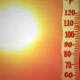 Этим летом синоптики обещают жару до +41 градуса