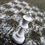 Евпатория примет шахматный фестиваль «Солнечный берег»
