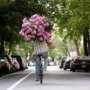 Симферополец украл у пенсионерки цветы, чтобы купить выпивку