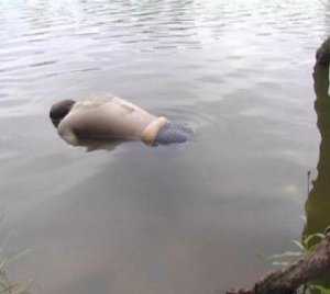 Спасатели нашли в канале на севере Крыма утонувшую девушку