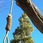 На дереве в Столице Крыма нашли повешенного человека