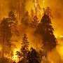 Под Севастополем горел заповедный лес