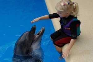 Девочку, пострадавшую при падении балкона в симеизском санатории, отправят на дельфинотерапию