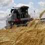 К уборке зерна в Крыму привлекут 1630 комбайнов