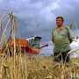 Крым приступил к сбору урожая на старых комбайнах и с расчетом на компенсацию потерь от засухи