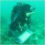 Херсонес возобновляет подводные исследования