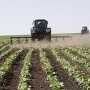 Власти констатировали неудачу планов создания в Крыму сельскохозяйственных кооперативов