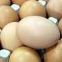 Яйца в Украине желают промаркировать