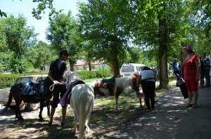 Детей в Евпатории незаконно катали на пони