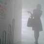 В Симферополе попытались сорвать показ фильма о Межигорье «Открытый доступ»: кинули дымовую шашку