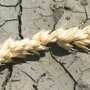 Засуха нанесла Крыму ущерб на треть миллиарда