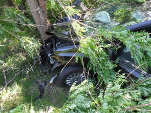 Под Симферополем Volkswagen влетел в дерево: водитель погиб
