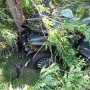 Под Симферополем Volkswagen влетел в дерево: водитель погиб