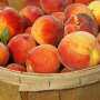 Персик защитит от стрессов и поможет похудеть