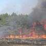 Из-за жары в Севастополе стали фиксировать по 20 пожаров на местности в неделю