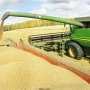 Урожай зерна в Крыму оценили в 600 тыс. тонн